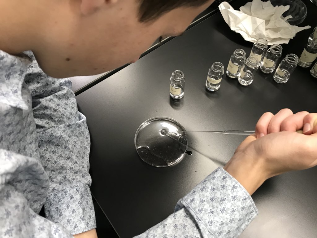 APEXBioResearch's tweet photo. Counting out brine shrimp nauplii (larvae) to test compound toxicity or lethal concentration 50% (LC50) @WaukeeAPEX #seamonkies #ididthisatpurdue https://t.co/i89BE1F92l
