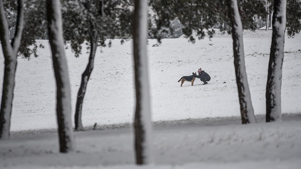 RadioSabadell's tweet photo. 📸| La neu ha arribat avui a #Sabadell i ens ha deixat imatges de postal!⛄️
Repassa-les a la següent galeria #NeuRS👉 https://t.co/HzpYJC9zlA https://t.co/HRqVscXMzm