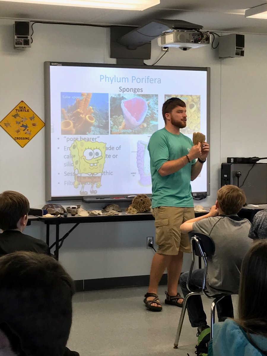 Spencer_1009's tweet photo. Discussing Phylum Porifera (Sponges) and just how different they really are from Spongebob Squarepants! #relativelearning #dauphinisland https://t.co/VOjiQGIZy6