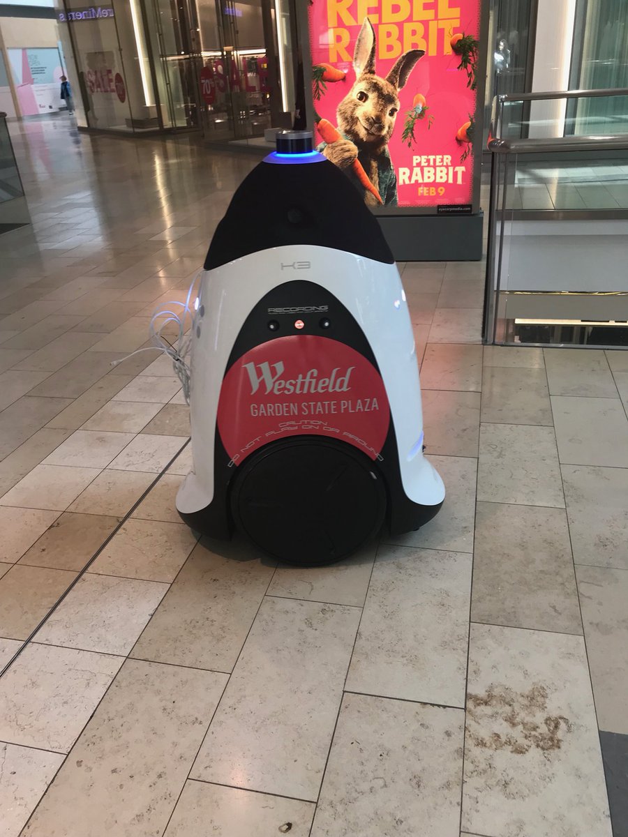 WJN4ALL's tweet photo. Westfield Mall - Garden State Plaza - Nothing better than a happy customer expanding their security force! https://t.co/9GrcNMnutl