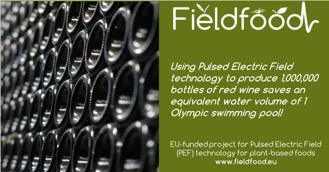 FieldFOOD_H2020's tweet photo. Learn how PEF-technology can reduce the water usage of your food processing lines at the @anugafoodtec! For more information visit https://t.co/4qrXbSArdI  #FoodTech #FoodInnovation #electroporation #pulsedelectricfield https://t.co/s84GMsrLx4