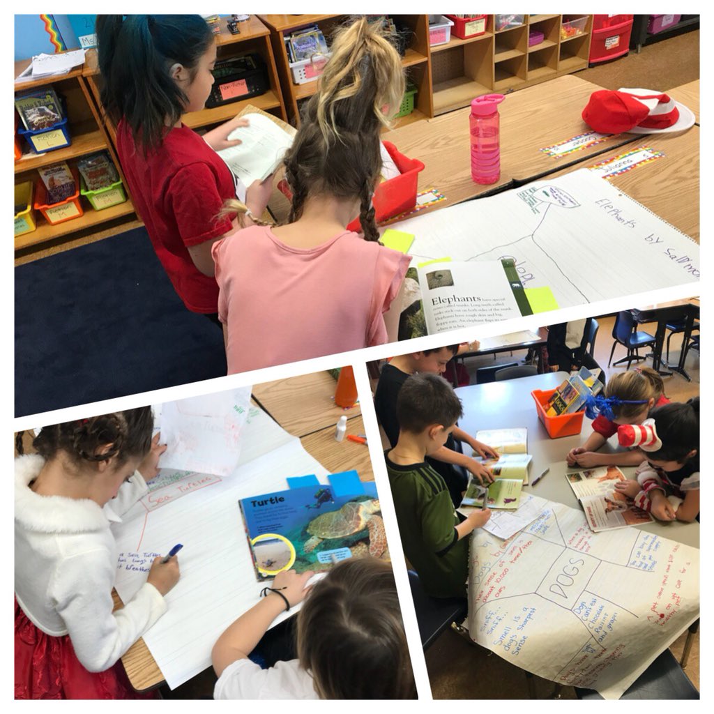 2nd graders finishing up their non-fiction research posters today! Getting ready to practice and present! <a href="/diane_montesano/">Diane Montesano</a> @NutSwampTigers #TeamTigwr