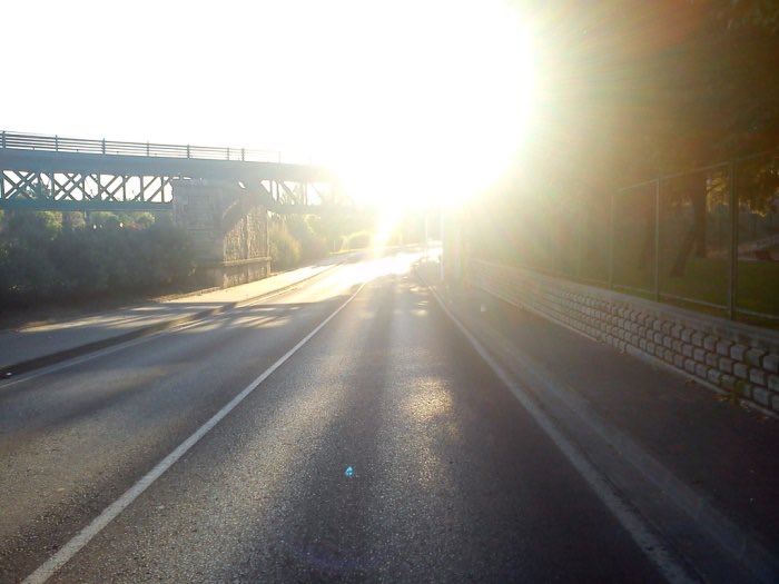 protegetuvista's tweet photo. ¿Sabias que el reflejo del #sol 🌞 bajo en una #carretera helada ❄️ puede causar molestias a los conductores incluso con buena #vision?Un consejo,si coges estos días el 🚗 asegúrate que el parabrisas este limpio,y pregunta por #gafasdesol polarizadas a tu #OpticoOptometrista https://t.co/TplCpuOjqc
