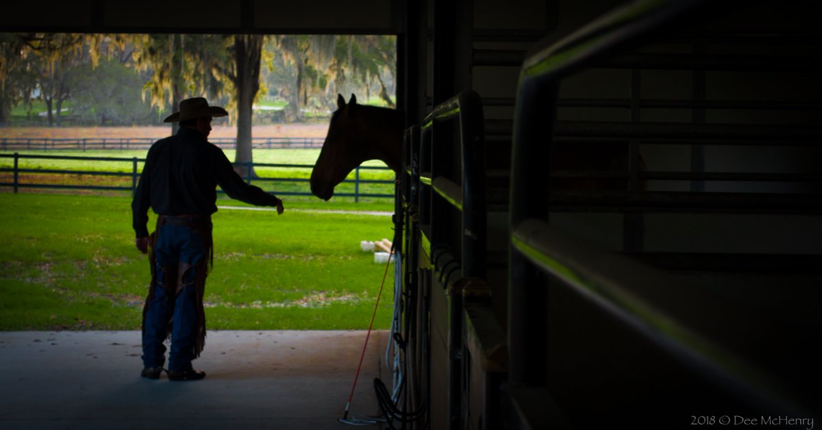 valeofilms's tweet photo. We absolutely love working on incredible projects with amazing friends! π¬Β on location at Parelli Natural Horsemanship campus in Ocala, FL.
#videoproduction #horses #parelli #naturalhorsemanship #valeofilms #video #training #equine #horsemanship #florida #bts #productioncompany https://t.co/93gPW92APY
