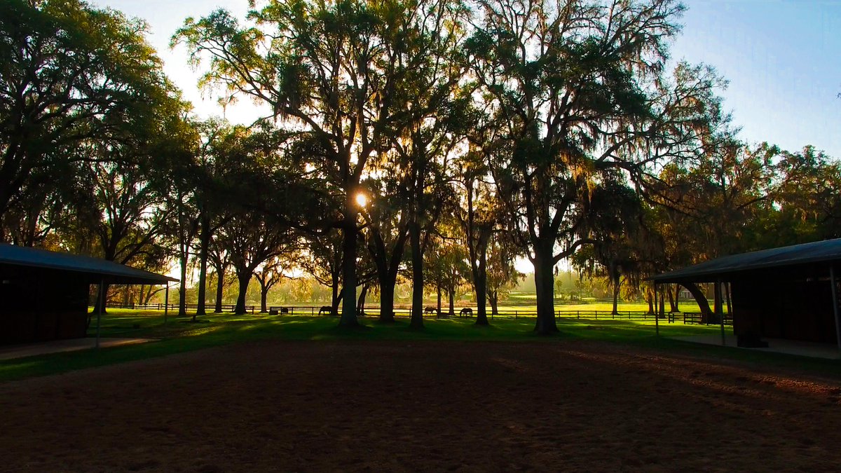 valeofilms's tweet photo. We absolutely love working on incredible projects with amazing friends! π¬Β on location at Parelli Natural Horsemanship campus in Ocala, FL.
#videoproduction #horses #parelli #naturalhorsemanship #valeofilms #video #training #equine #horsemanship #florida #bts #productioncompany https://t.co/93gPW92APY