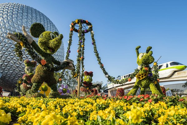 BestofOrlando's tweet photo. Epcot International Flower & Garden Festival 2018 starts today! Don't miss our guide >> #EpcotinSpring https://t.co/jGJ1ImkNzv https://t.co/julzKgJwyb