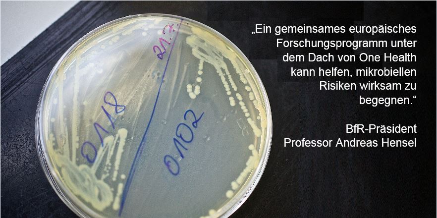bfrde's tweet photo. #BfRde Friedrich-Loeffler-Institut und @rki_de unterstützen #EU Programm #OneHealth zur Reduzierung von #Infektionskrankheiten bei #Mensch und #Tier - Rund 60 % aller Krankheitserreger können Menschen wie Tiere gleichermaßen infizieren! #kurzerklärt https://t.co/Ey9f53EN5a https://t.co/d4s37Up3iZ