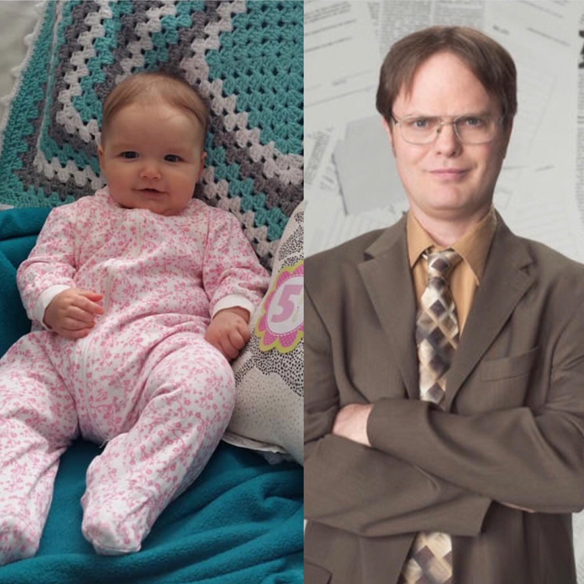 mabuchanan84's tweet photo. @rainnwilson doppelganger #Dwight #theoffice help us win and vote for our video @KoolFMBarrie https://t.co/nrTwx5wGv0 https://t.co/6hwLN0UTXf