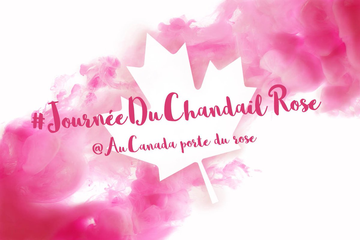 AuCanada's tweet photo. À l’étranger comme au Canada, les Canadiens portent du rose pour lutter contre l’intimidation et la cyberintimidation. Partagez vos photos de la #JournéeDuChandailRose et dites-nous comment vous répandez la gentillesse! 💟🍁💟 #PinkitForward https://t.co/GNY4iS5a5t