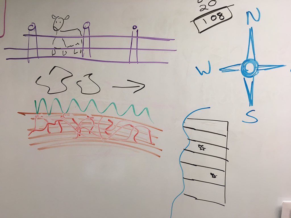 BeckerAngelaM's tweet image. Sometimes your teacher artwork is SO grand that you have to compile it. #PSUAgEd18 #VisualLearners