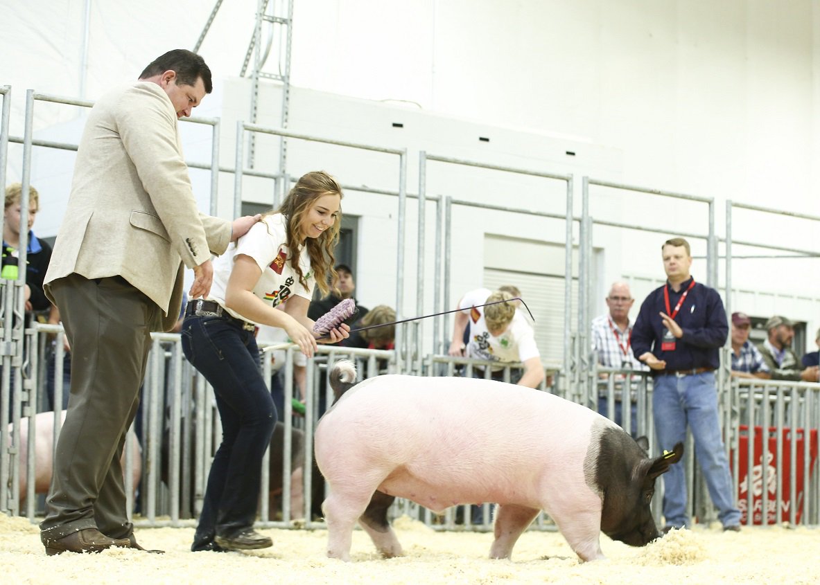 Did you know? The 2018 AKSARBEN Market Swine Show is going to be Non-Terminal W/ optional harvest! We can't wait to see you Sept. 22 - 23 &amp; 27- 30, 2018 in Grand Island!