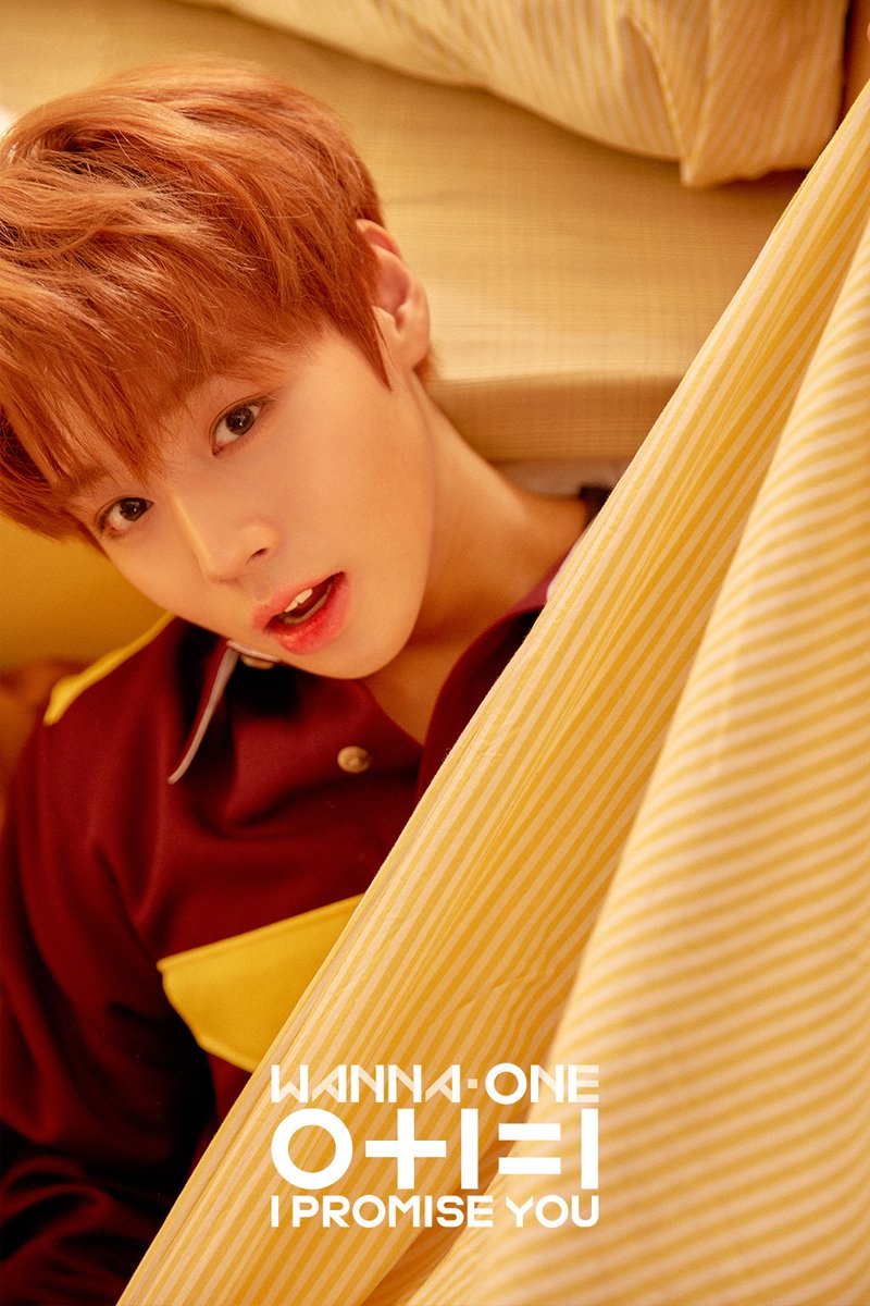 101GERS's tweet photo. Wanna Oneㅣ2nd Mini Album Photo #7 박지훈
워너원 "0+1=1 (I PROMISE YOU)" Day Ver. 포토 공개!
03.05 Special Theme Track (1Song, 1MV)
03.19 Album Release
#WannaOne #워너원 #박지훈 #ParkJiHoon #IPROMISEYOU https://t.co/0PusYqWlJW