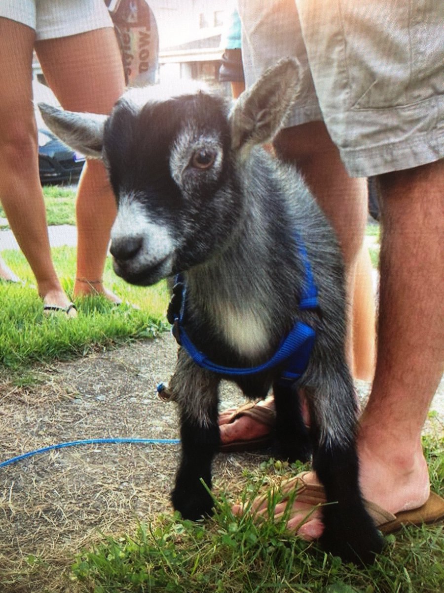 Jackson Street tweet media