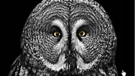 werner_dupreez's tweet photo. Perfect foresight can be surprisingly uncomfortable https://t.co/NZIyZ9V8JE #investing #australia #allangray #longterm https://t.co/fgsMi7Sunc