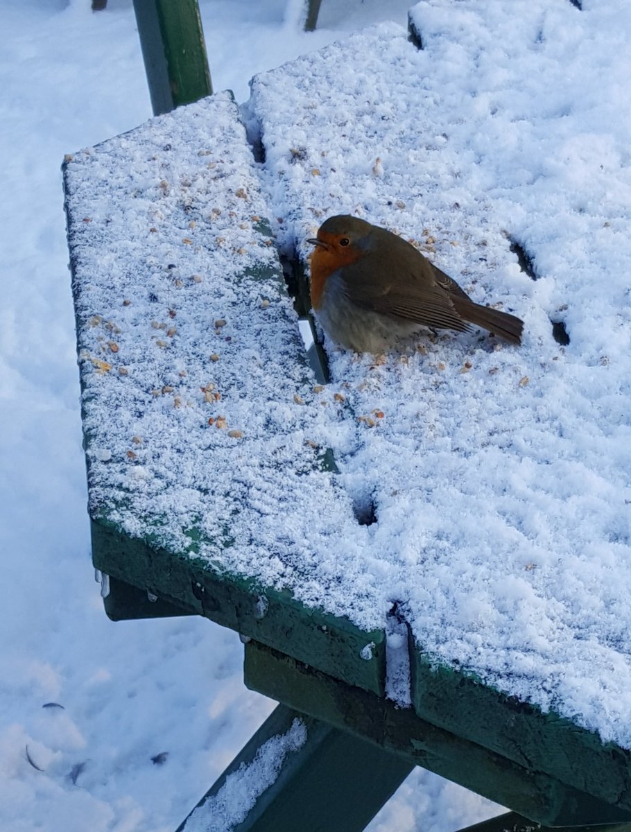Milton Country Park tweet media