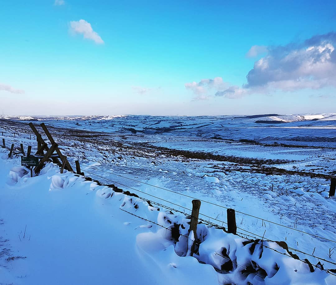 Ben Ellis tweet media