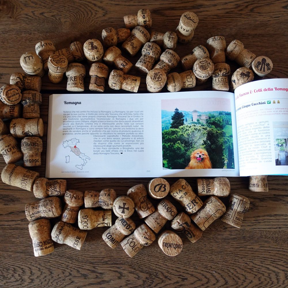 [DA COMPRARE SUBITO 😍] Hai già la tua copia della mia #GuidaVini #Spumanti #500Bollein500?

Semplicemente i migliori 500 vini spumanti italiani raccontati in 360 pagine a colori.

buff.ly/2CgM2p2

Non solo #Franciacorta 😋

#vino #wine#daleggere #winelover #spumante