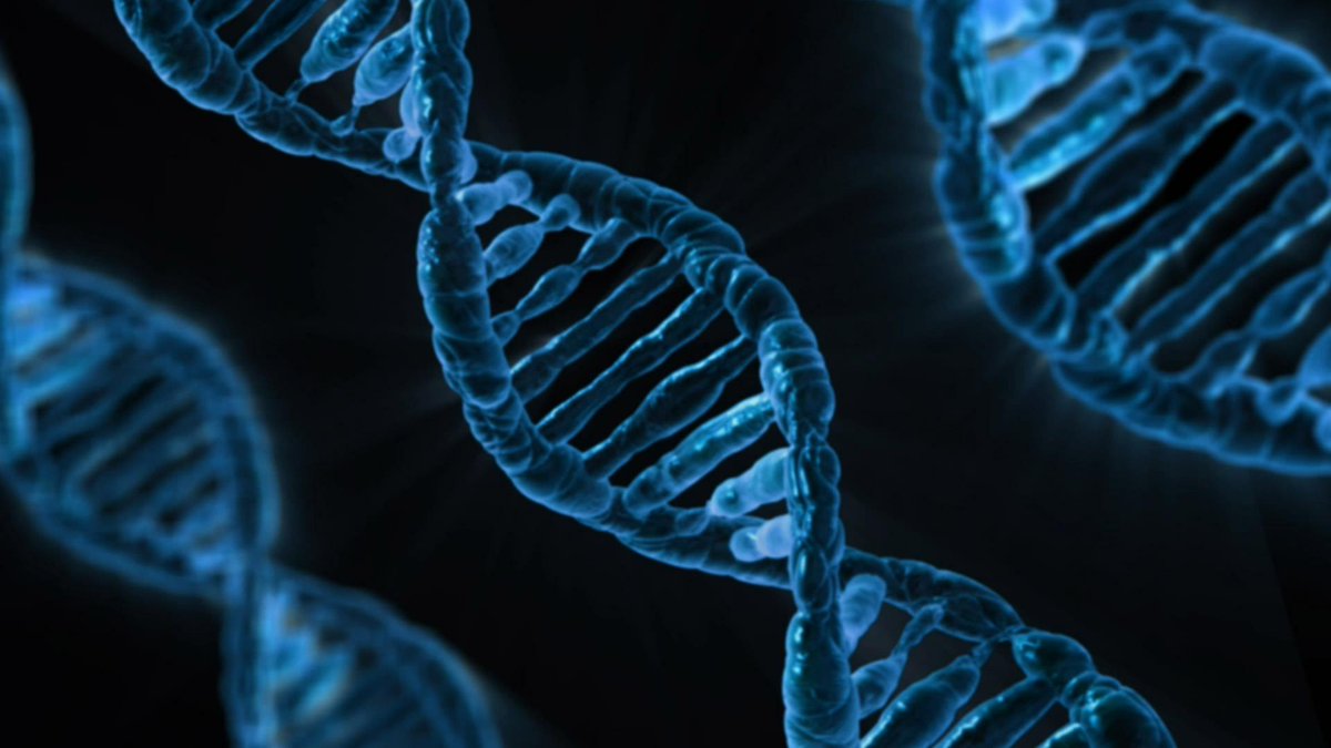 NobelPrize's tweet photo. #Onthisday in 1953, James Watson and Francis Crick assembled the pieces of the DNA puzzle - how DNA's four nucleotides are arranged in a 3D structure. Watson says Crick announced the discovery by going into a nearby pub and blurting out "we had found the secret of life." https://t.co/3zLdhuG3s4