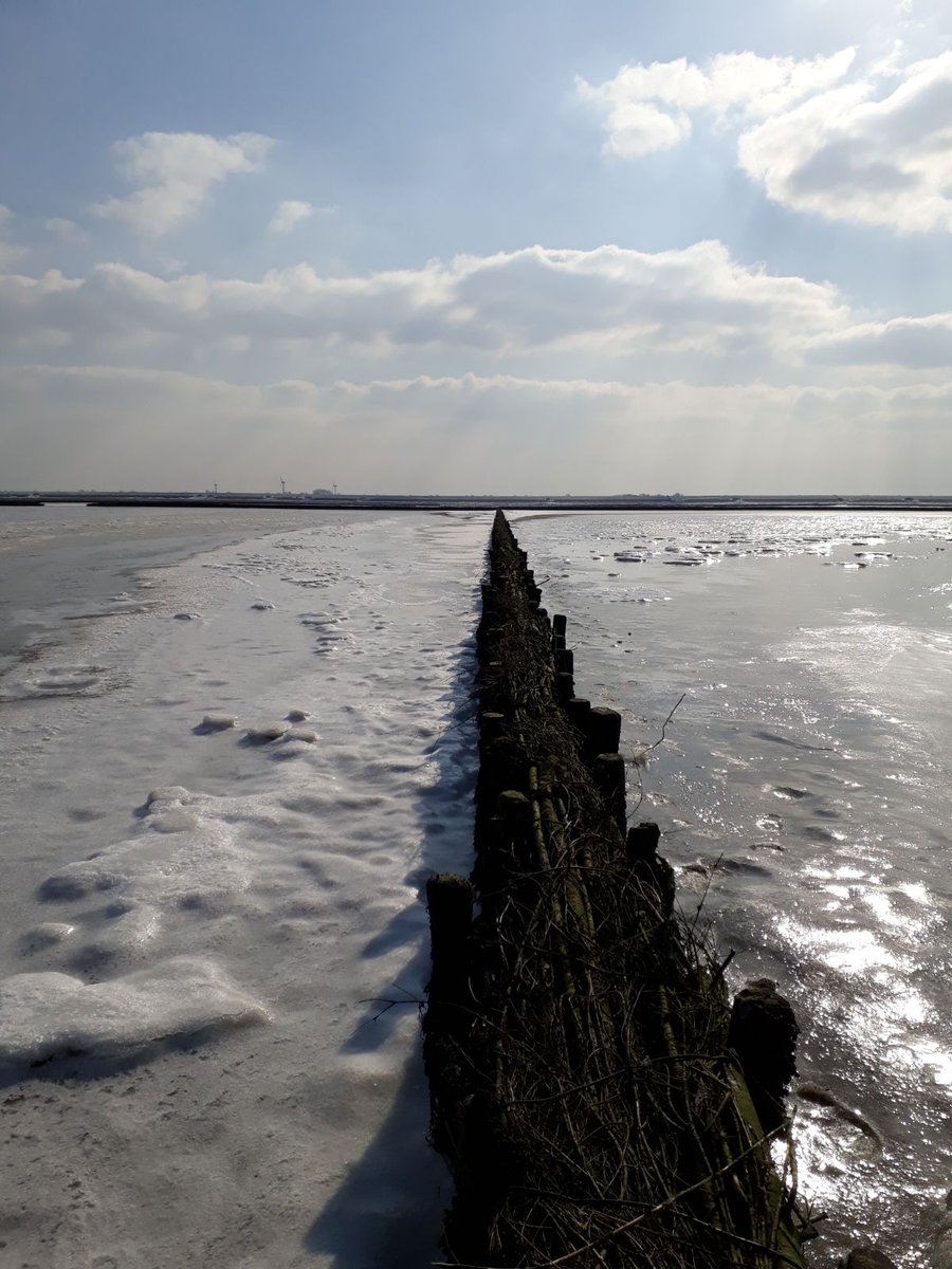 Het is winter deze week, maar dat houd ons niet tegen toch het wad op te gaan. En dan krijg je dit soort prachtige plaatjes #wadlopen #winter