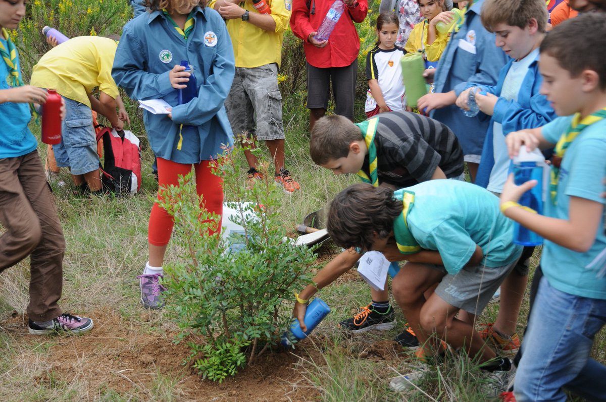 EscoltesiGuies's tweet photo. 📢Més de 500 escoltes i guies participaran aquest dissabte en una jornada d'ApS per a la reforestació dels boscos cremats durant l’incendi d’Òdena, dipositant les boles Nendo Dango de la @jamborinada i plantant arbres fruiters!🌱🌿#somdecau #femservei ➡️https://t.co/aGAC3lHaOr https://t.co/QtQPQlYvtf