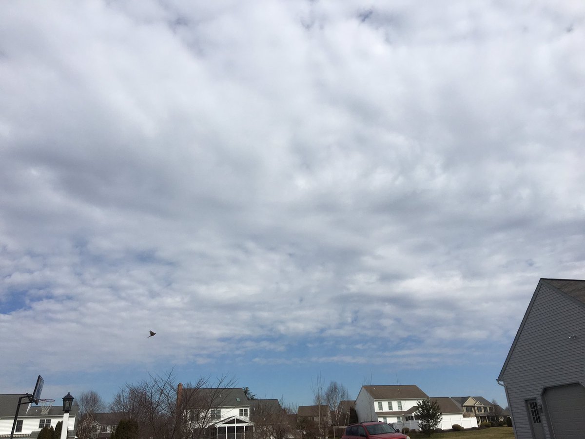 TOMRUSSELLCBS21's tweet photo. Beautiful weather for the final day of February!  Enjoy it because February comes back in March. #wildride #snowwind https://t.co/KC7kY8fL7V