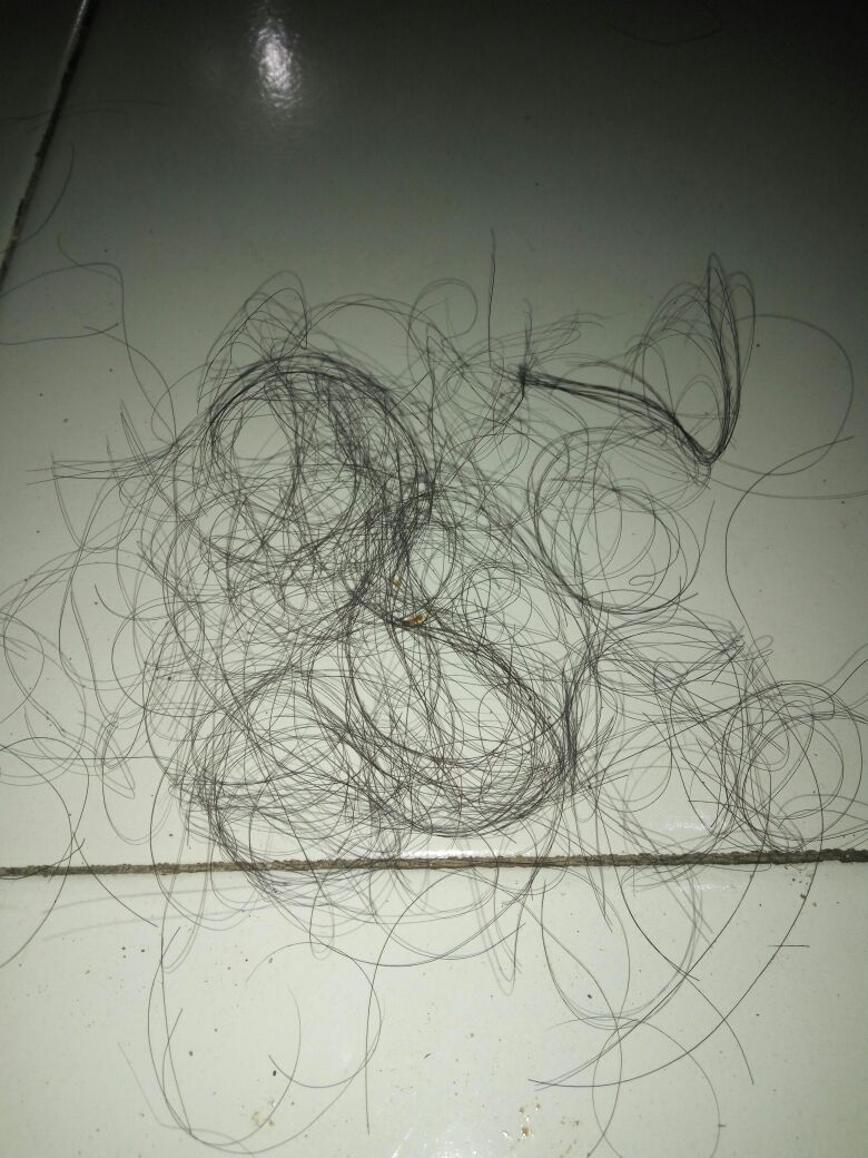 Kebodohan malem ini,maenan sisir di gulung ke rambut eh taunya malah kusut,dan hasilnya.... :(