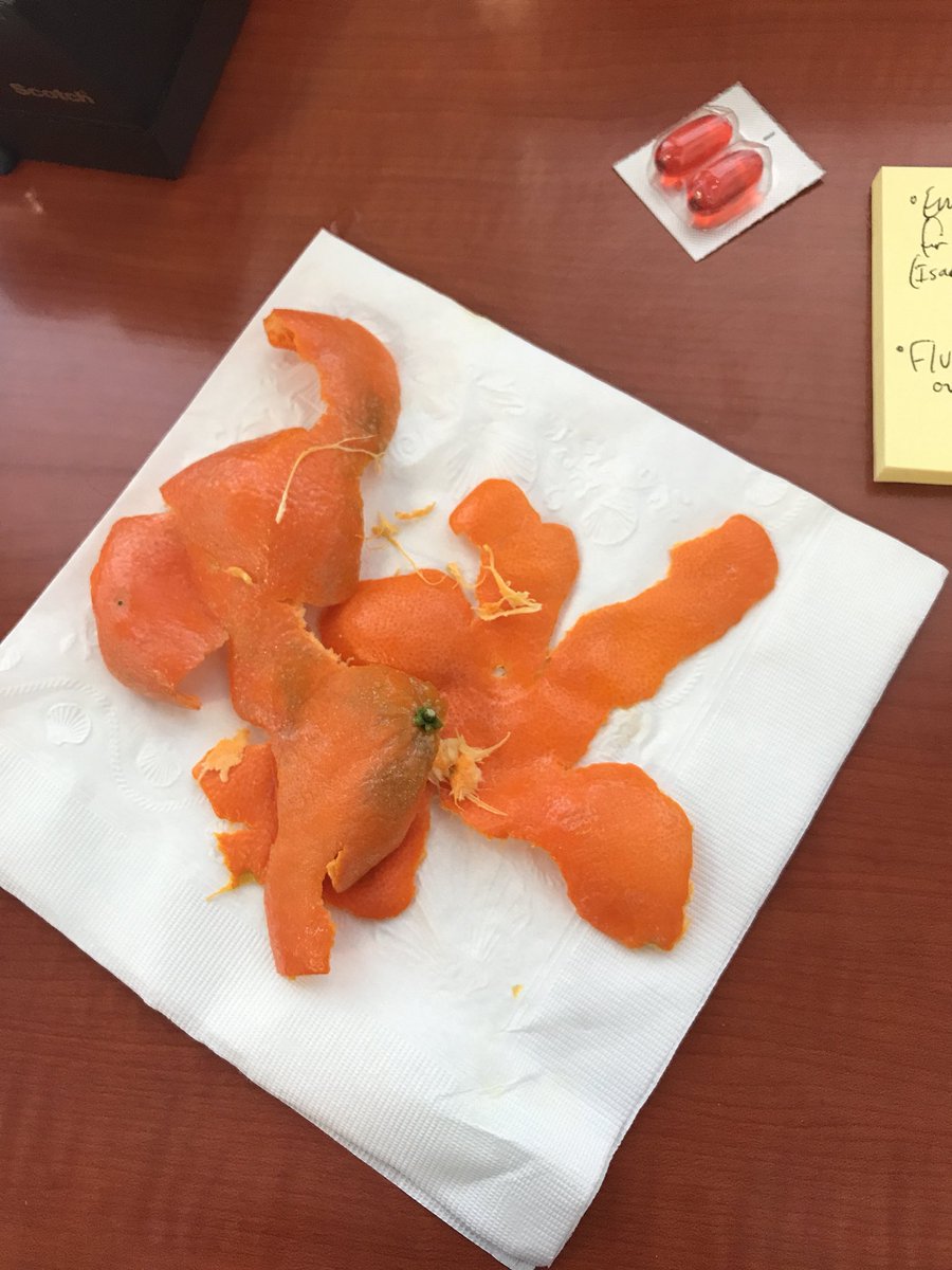 clarkecameron's tweet image. Going ham on these tiny oranges. #goodContent