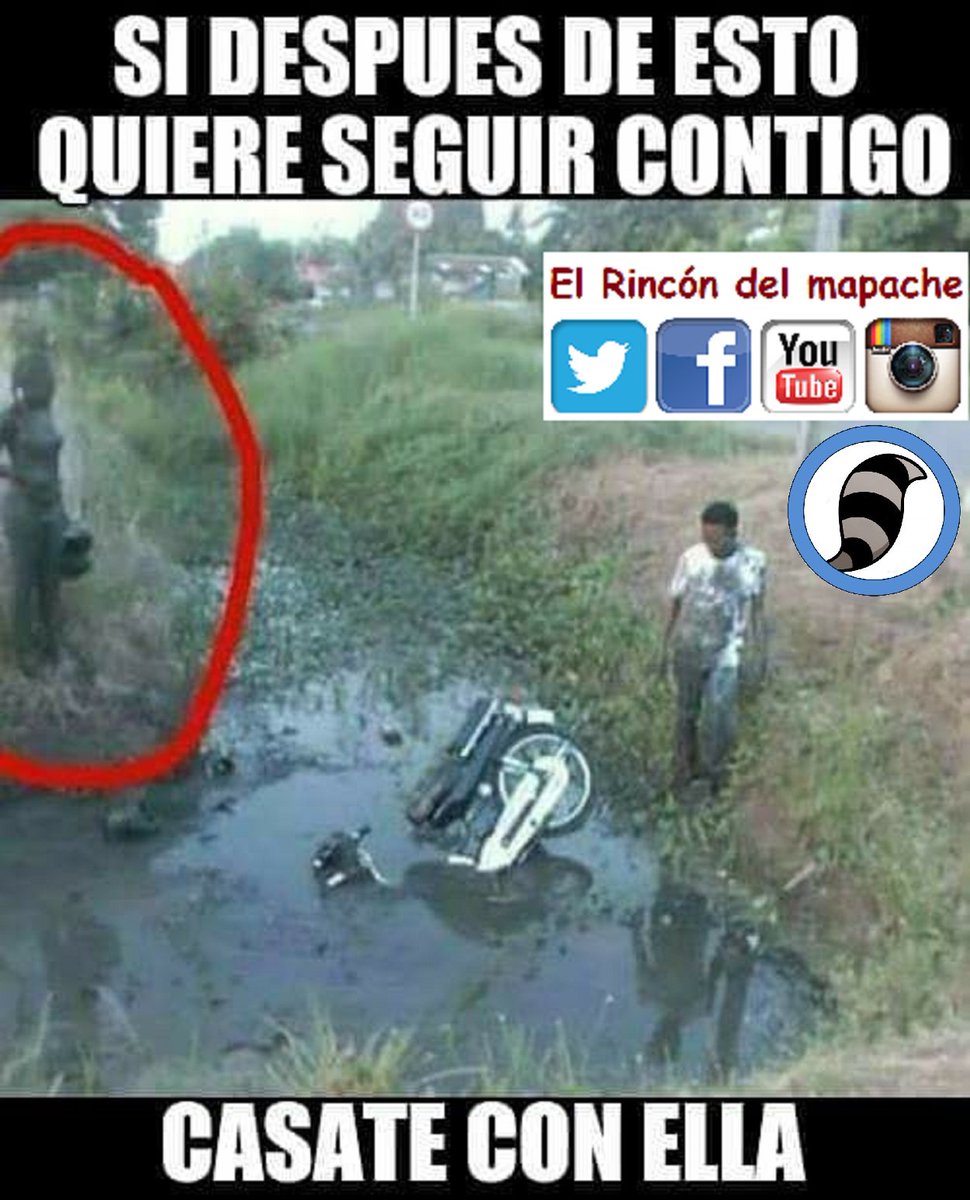Rulo_mapache's tweet photo. #FelizMiércoles
#MañanaAcabaFebreroY
#AhorasiEnMarzo
#CuandoTengoLana
#AhoraSuena
#QueRaro
#YaNoMeSorprendeDeTi
#BudLightFE
#SkyAlert
#FrescoRMX
#Xalapa https://t.co/G312pF5B3f