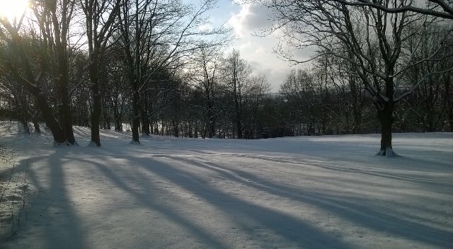GirlguidingSV's tweet photo. We are so #lucky to have Fanwood Campsite and Activity Centre in our Divison 💙#WinterWonderland 
#peaceandquiet 
#icingonacake https://t.co/6O333b6zjt
