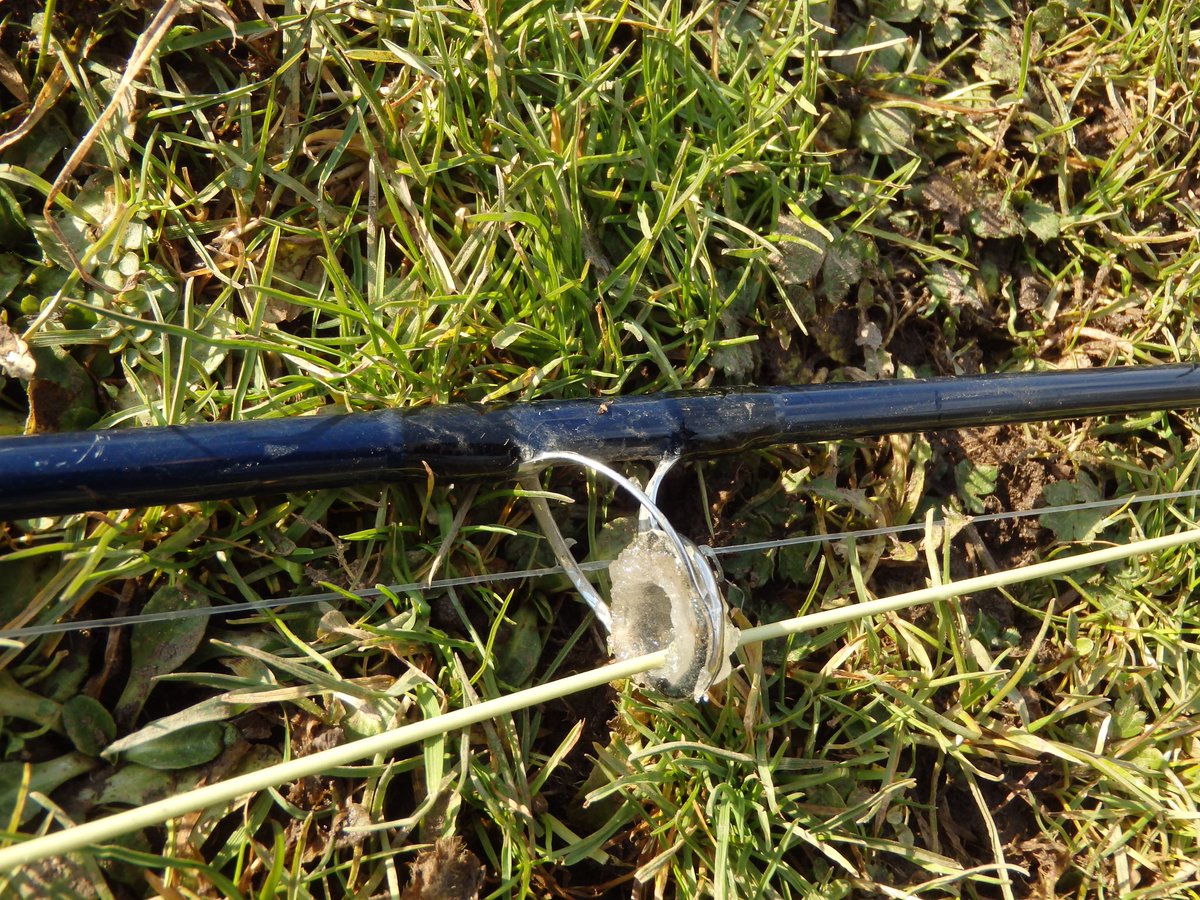 grahamwaterton's tweet image. Three days of iced rings but today was really cold. #brassmonkeys #pikeonfly