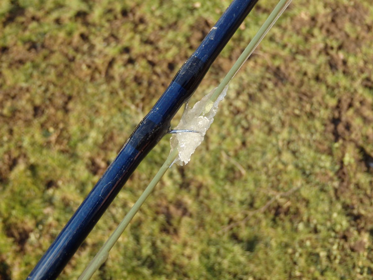 grahamwaterton's tweet image. Three days of iced rings but today was really cold. #brassmonkeys #pikeonfly
