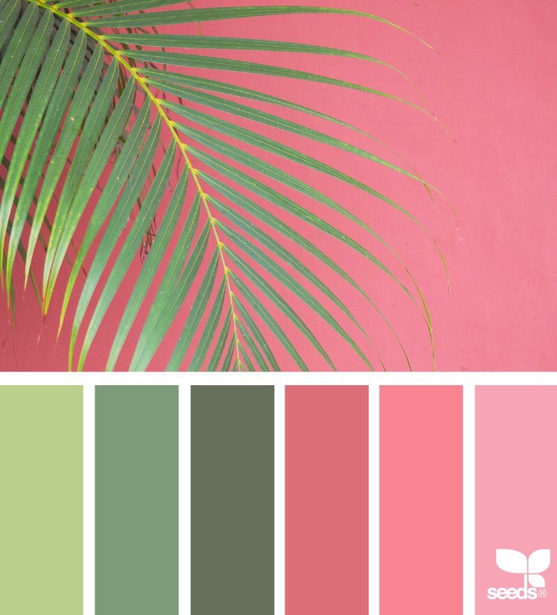 GforHOM's tweet image. #DesignSeeds
#color