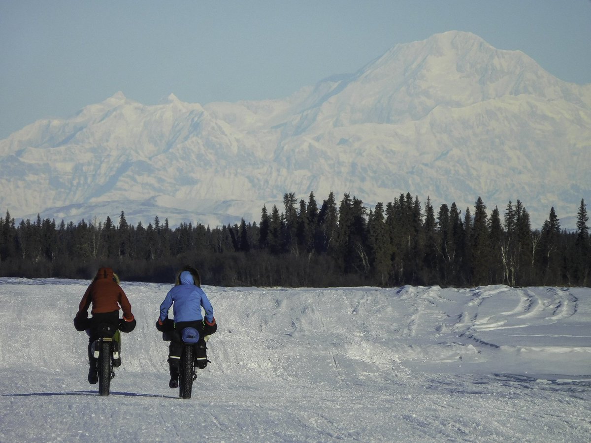 FatBikecom's tweet photo. Wallpaper Wednesday - #fatbackbikes #denali #tonightsthenight #Iditarodtrail - https://t.co/gARJjGAoEB https://t.co/2idDpdVdoJ