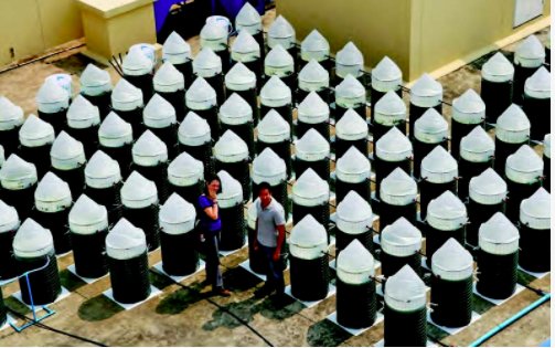 fish20org's tweet photo. “#Spirulina is packed with #protein, #vitamins, and #minerals, and can make a real impact on #FoodSecurity and #sustainability,” says Saumil Shah, the founder of EnerGaia https://t.co/NJTOlMbvj0 #2017fish20 https://t.co/xqXYudcgcJ