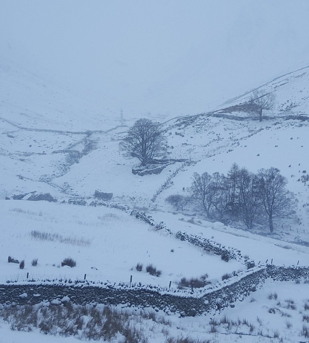 Proper winter weather this morning looking up Pasture Bottom and Threshthwaite beyond.