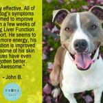 Photo by Prana Pets (@PranapetsFans)