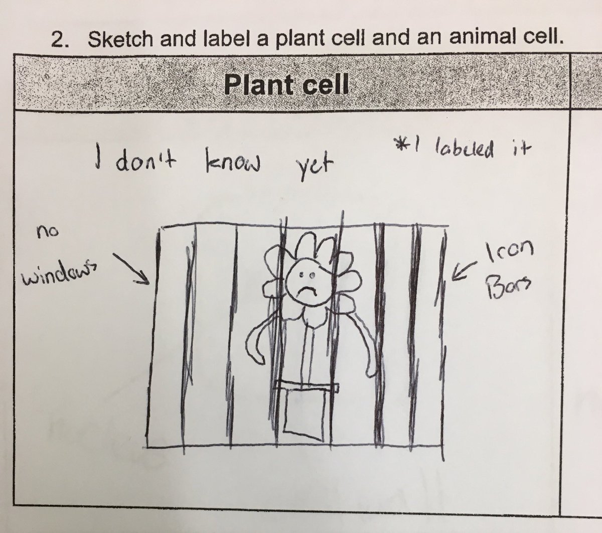 mondic1123's tweet image. @hmsnvusd kids rock! ❤️ My favorite diagnostic response to a question about plant cells in science. #creative Can’t wait to see the response in a few weeks. #progresscharts #GrowthMindset