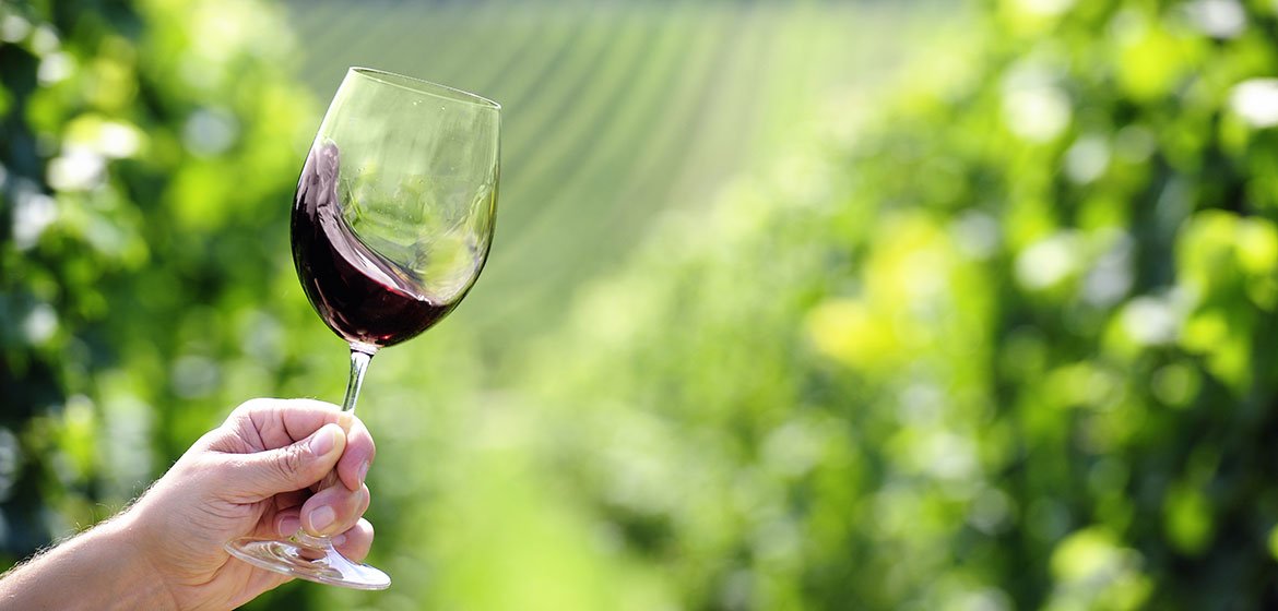 Wild Ginger tweet media