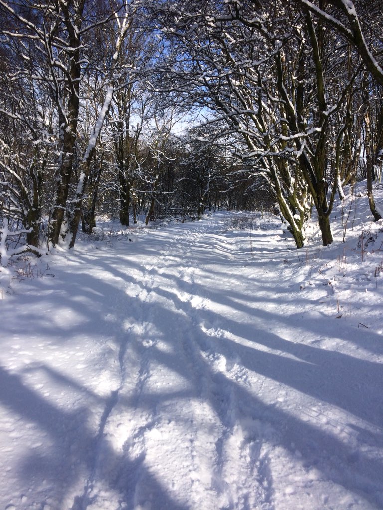 Jaymartjules's tweet photo. Trail run in the woods nice dry snow - grippy and dry #saucony #guide9 #winter #running #snowday ⛄️🍻👍🏻 https://t.co/a4drYPFyJ4