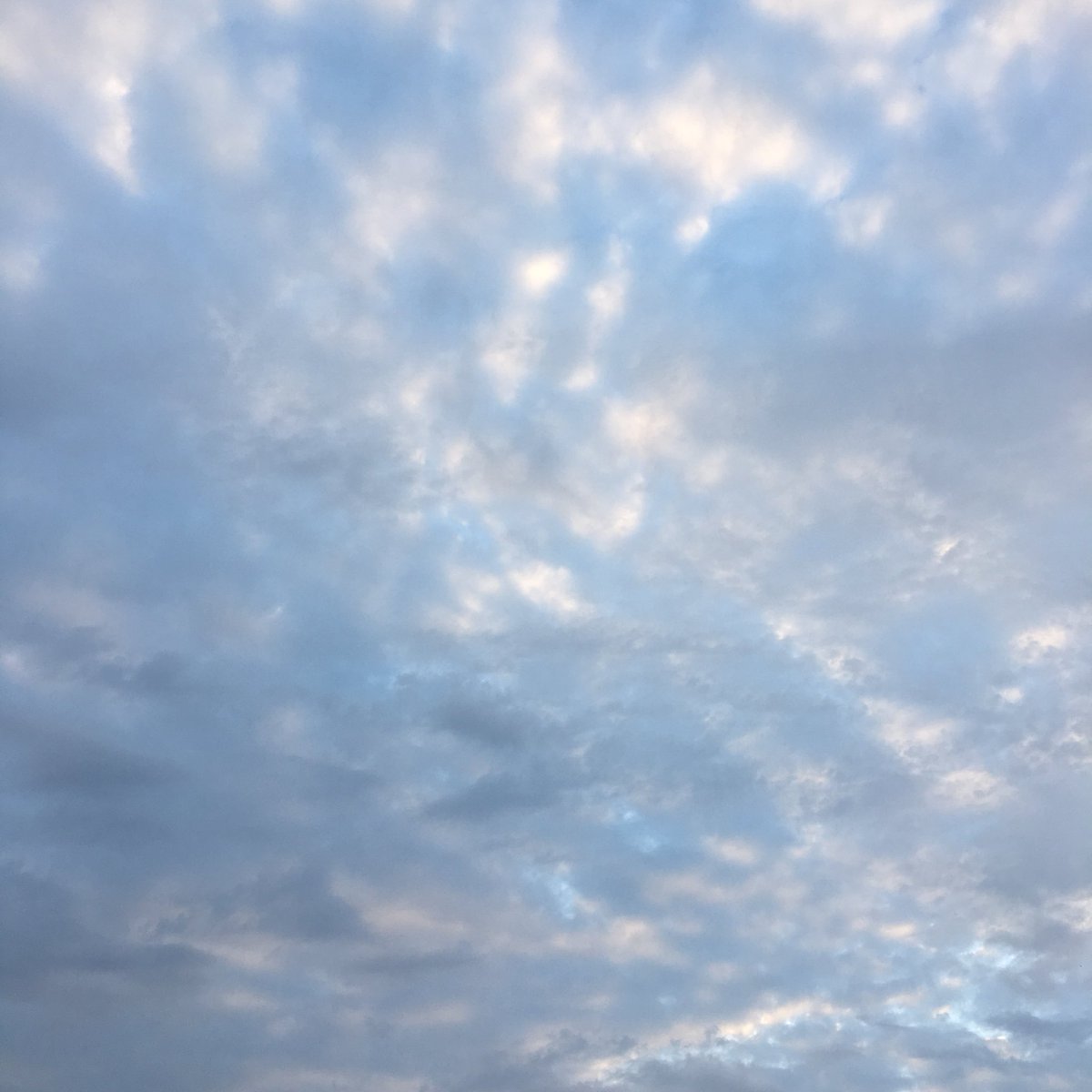 ReadAlessandra's tweet photo. Perfect day for a road trip. #keysbound https://t.co/DAnPe9VuP6