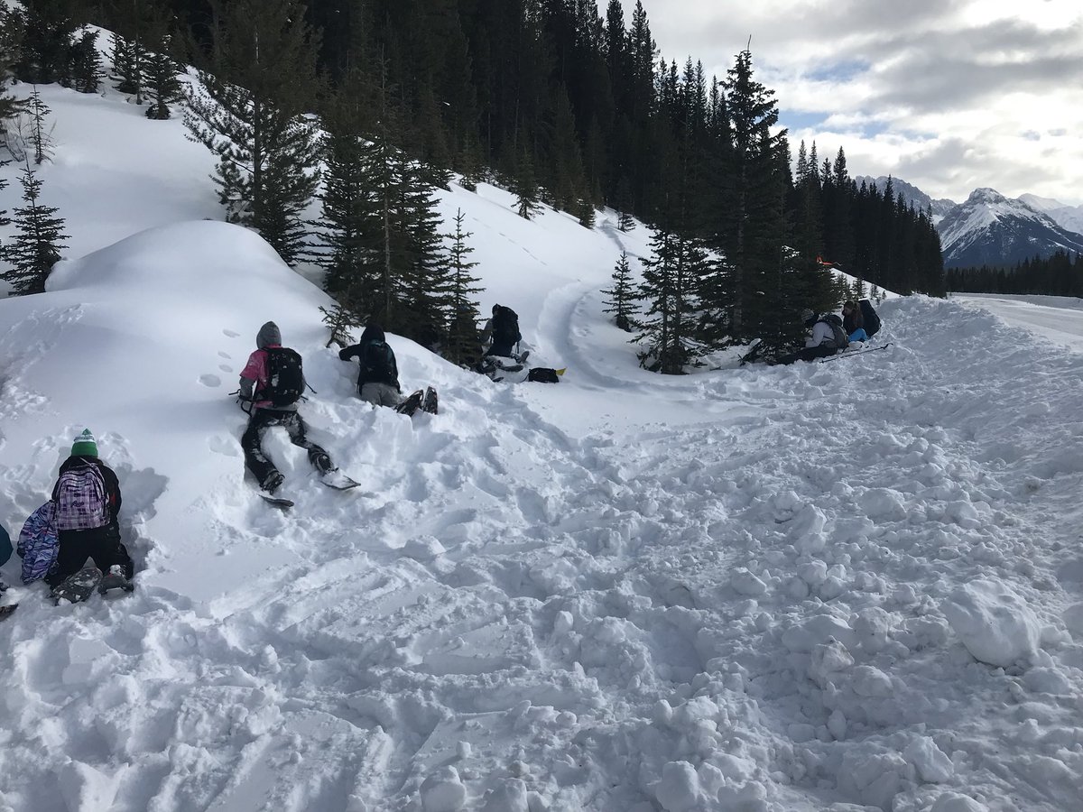 WILDmanachaban's tweet photo. Hiking along the high Rockies (Trans Canada) trail.
#wildscience #bridges #snowstructures #getoutside @ManachabanMS @rvsed https://t.co/Kvfz4wbwpm