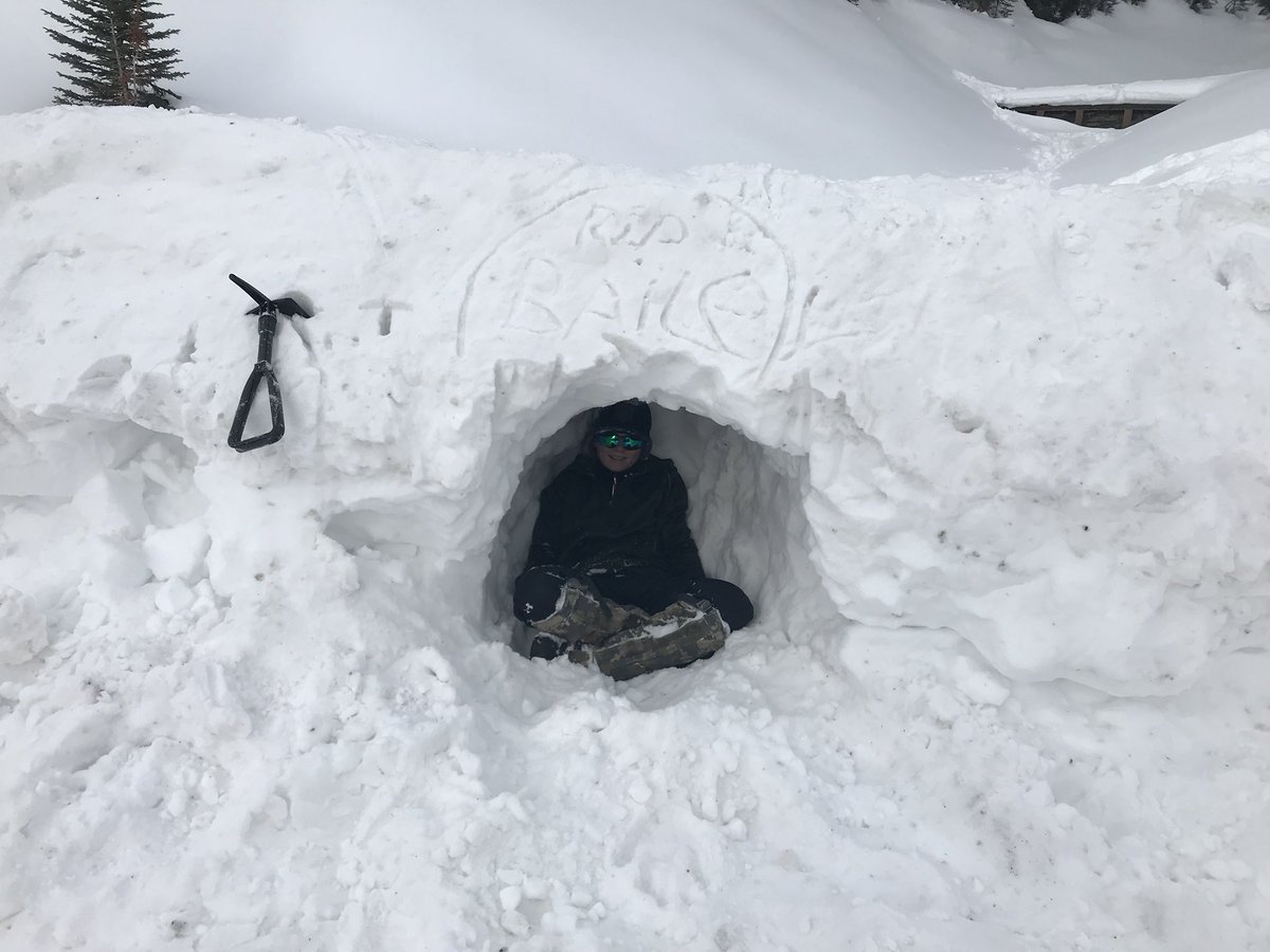 WILDmanachaban's tweet photo. Hiking along the high Rockies (Trans Canada) trail.
#wildscience #bridges #snowstructures #getoutside @ManachabanMS @rvsed https://t.co/Kvfz4wbwpm