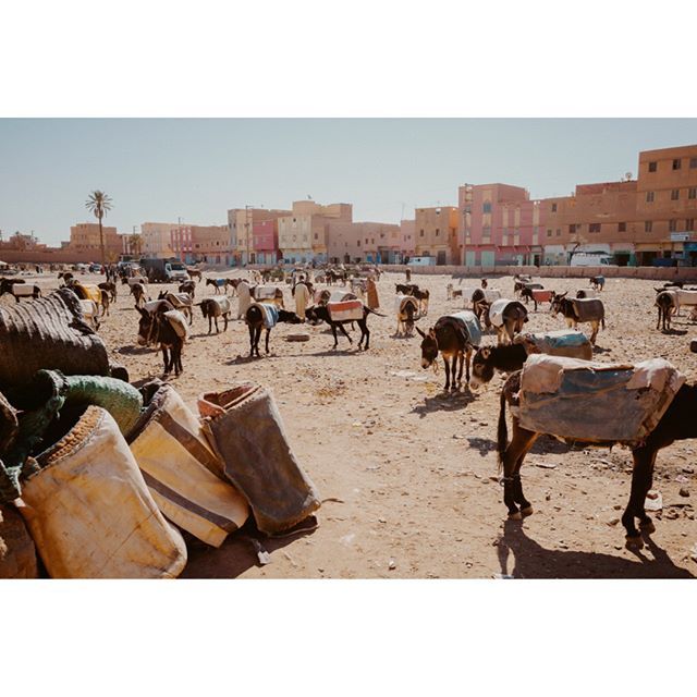Outside the market (3)

#morocco #travellover #africaphotography #blackandwhiteonly #bizarre #strangephoto #moroccotravel #morocco🇲🇦 #moroccovacations #agameoftones #ontheroad #desert #marrakech #marrakechlife #marrakech2018