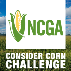 NineSigma's tweet photo. Congratulations to the winners of the @NationalCorn #ConsiderCornChallenge! Learn more: https://t.co/NwN013XfGI https://t.co/HWLebBm2D4