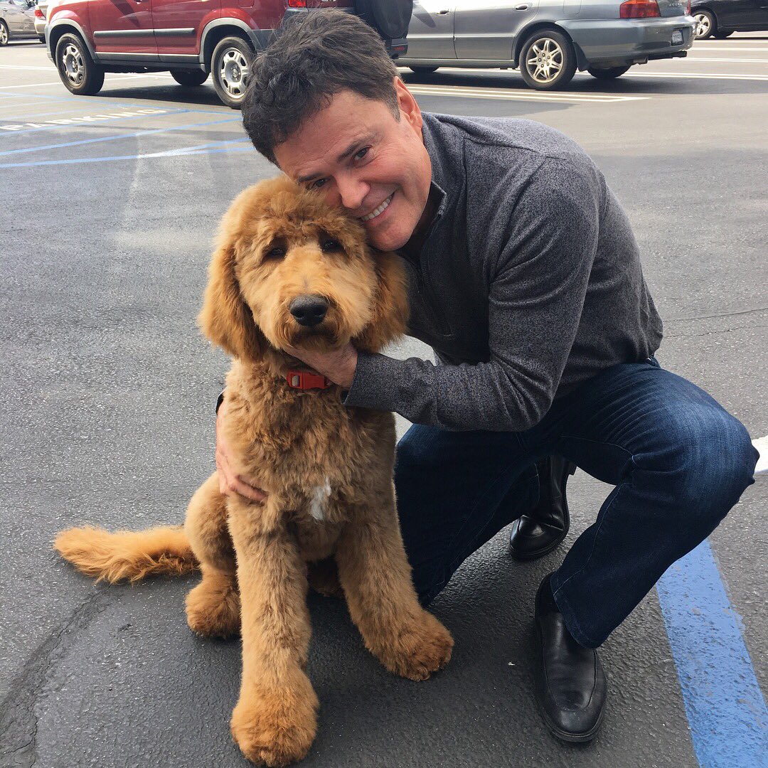 Donny Osmond tweet media