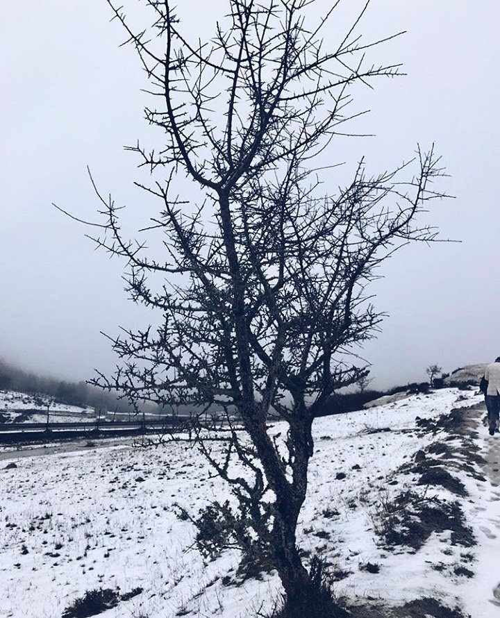 messina_igers's tweet photo. Ieri eravamo in spiaggia ed oggi in mezzo alla #neve 😍 non ci facciamo mancare proprio nulla, ma è solo grazie ai vostri scatti! 
Il #bestoftheday di oggi è di @talbame!📷❄

#igersmessina #igerssicilia #igers https://t.co/UeJar0ruF8