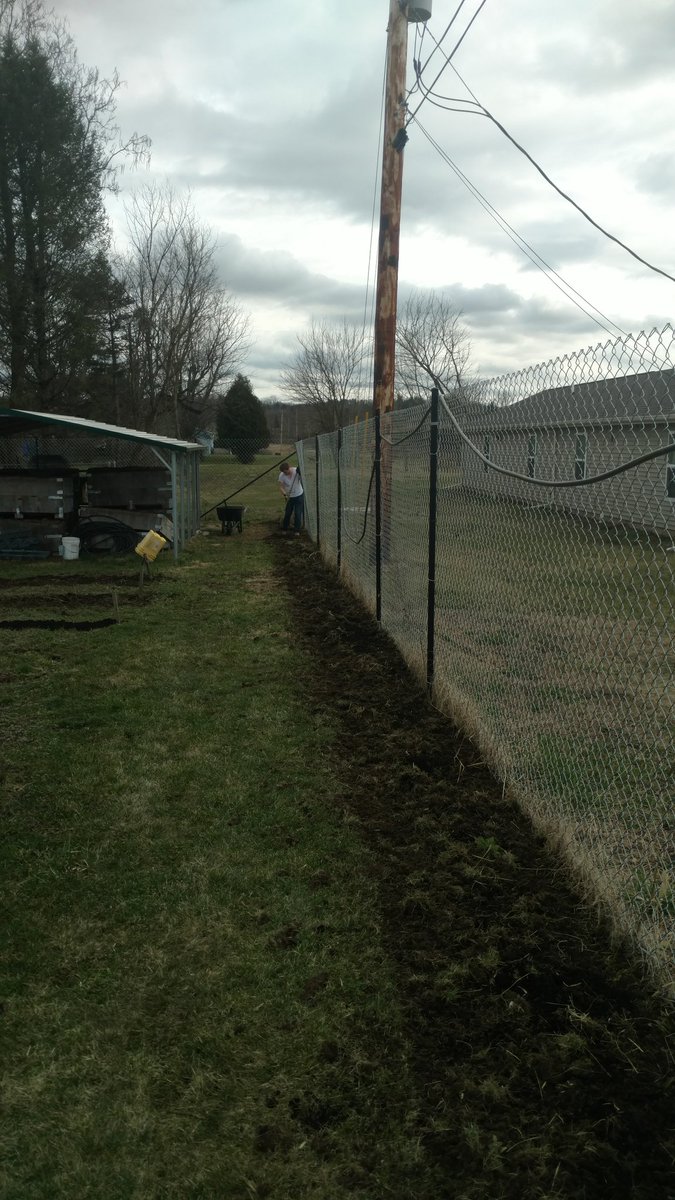 Very productive day today! Started getting the new blueberry, raspberry, and blackberry beds ready at our new garden on 6th Street. Going to finish tilling in the compost, let it work for a couple weeks, then the berries can be moved from Everett park to here!