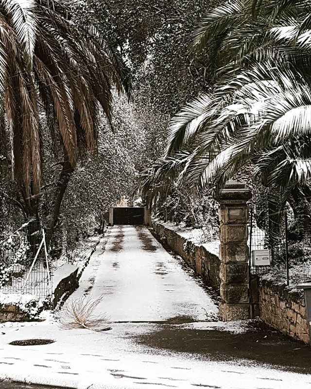 DdfPaca's tweet photo. La côte d'azur et son tapis blanc...

#cotedazurgolfs #cotedazurfrance #cotedazur #neige #meteo #snow #snowday #snowgolf #neige https://t.co/3rqBsJnq55