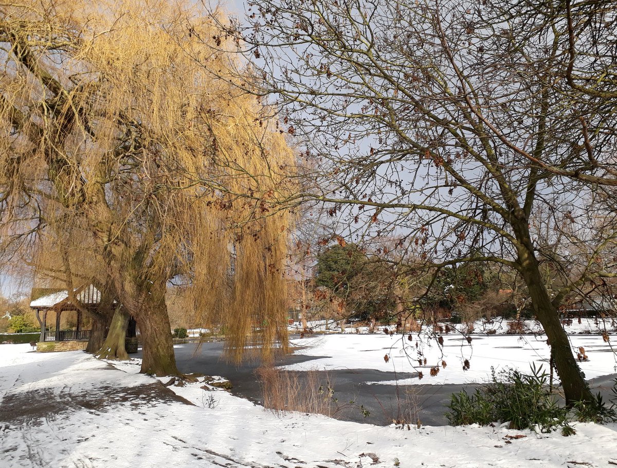 Bredgar_LDN's tweet photo. Broomfield Park looking very pretty this afternoon #PGCommunity https://t.co/vgZdu7gfFL