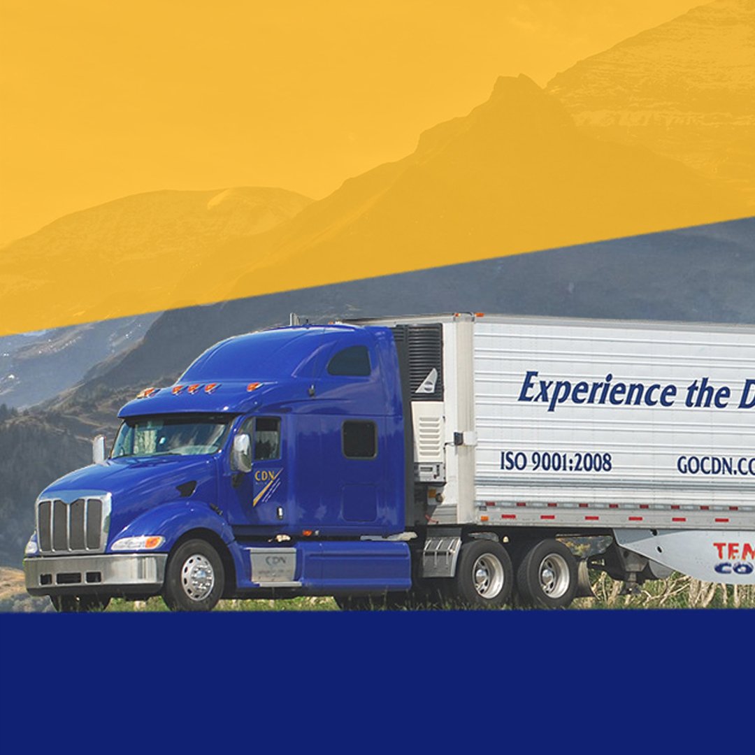 cdnrecruiting's tweet photo. We offer our Drivers 99.92% No-Touch Freight. That means More Miles!! Join them: https://t.co/PEMkwibZWA https://t.co/coZWpWJ3VP